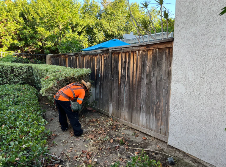 contractor inspecting dry rot of a fence rancho santa margarita ca